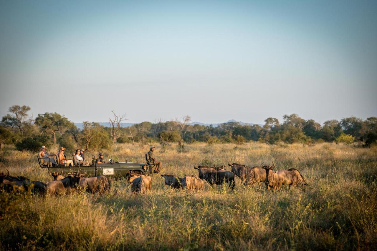Umkumbe Bush Lodge - Luxury Tented Camp Sabi Sand Game Reserve Exterior photo